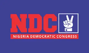 Who really owns NDC? – Vanguard News