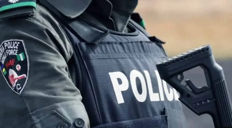 Police arrest suspected gunman after alleged palace attack