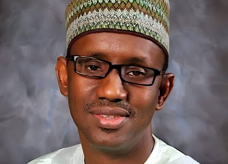 National security: Beyond the headlines, By Chido Onumah