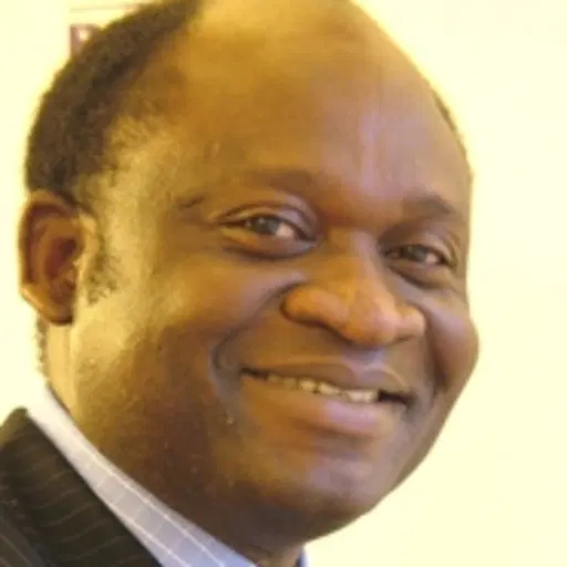 NDC: Judicial vandalism imperils Nigeria’s threadbare democracy, by Olu Fasan
