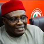 2027: Our democracy is in ICU — Wabara