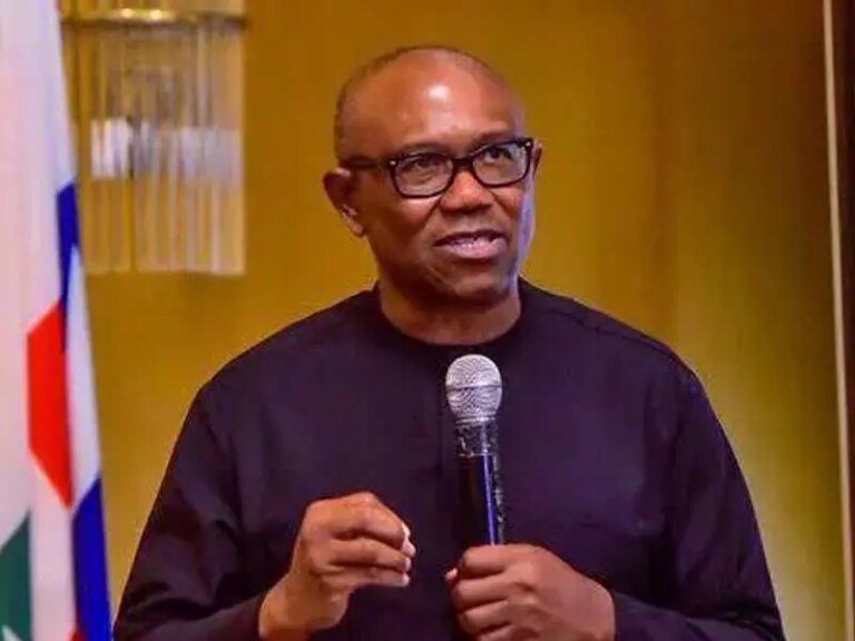 2027: Voter registration first step to new Nigeria – Peter Obi