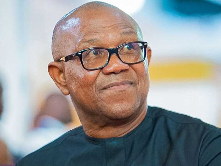 Peter Obi faces N50bn defamation suit, given 7-day ultimatum to apologize