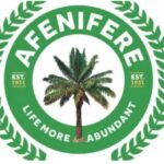 State police: Afenifere weighs in, urging NASS to make it independent