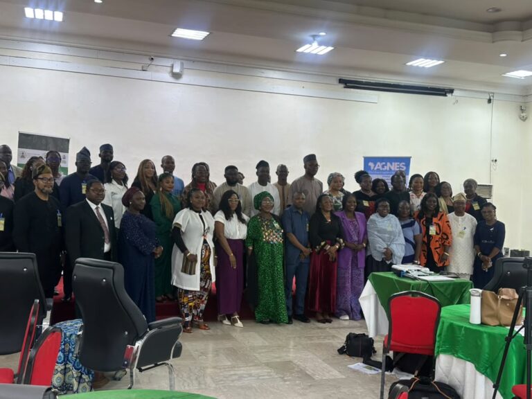 Group urges FG to scale up clean cooking to achieve climate targets