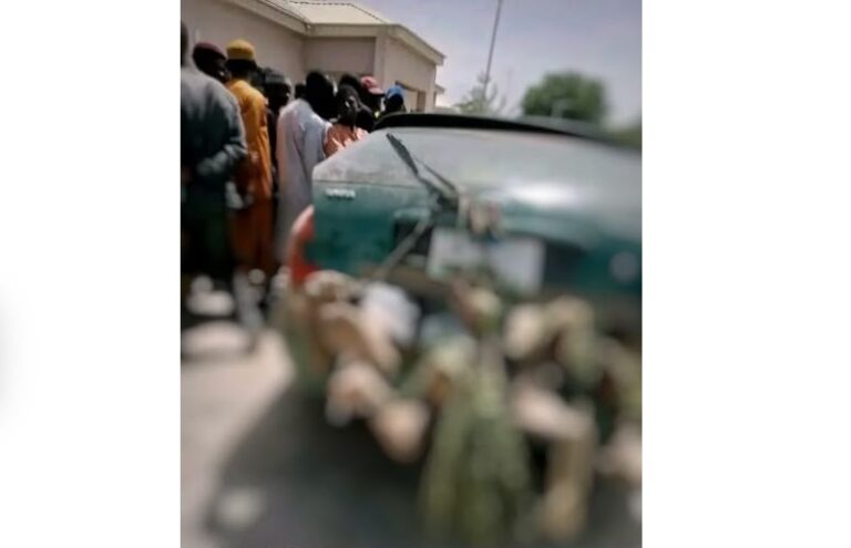 Bandits kill nine farmers, abduct many in Kaduna attacks
