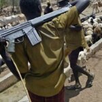Two killed, over 40 cows stolen as suspected herdsmen attack Benue community