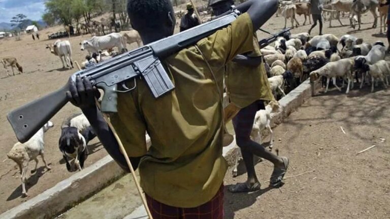 Two killed, over 40 cows stolen as suspected herdsmen attack Benue community