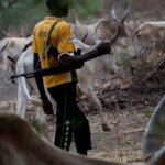Suspected armed herders kill 60-year-old farmer in Benue community