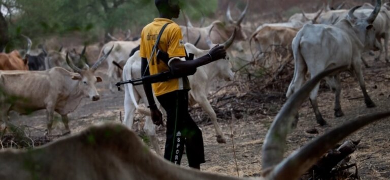 Suspected armed herders kill 60-year-old farmer in Benue community