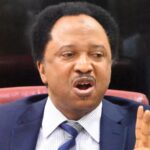 Ukraine war: Don’t join Russian Army – Shehu Sani to Nigerians