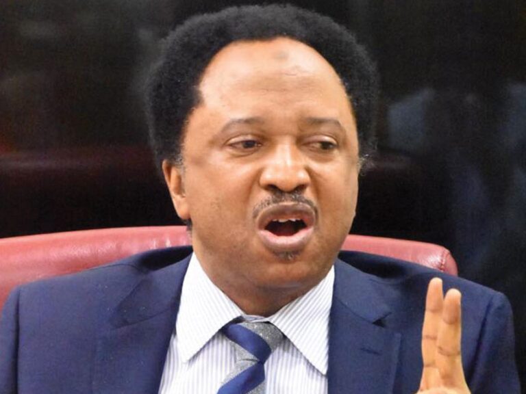 Ukraine war: Don’t join Russian Army – Shehu Sani to Nigerians